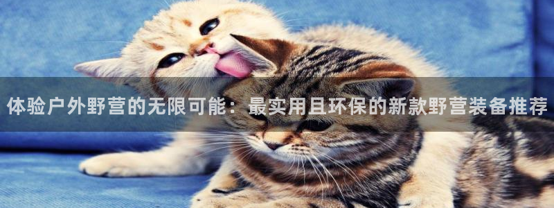 先锋娱乐邀请码多少