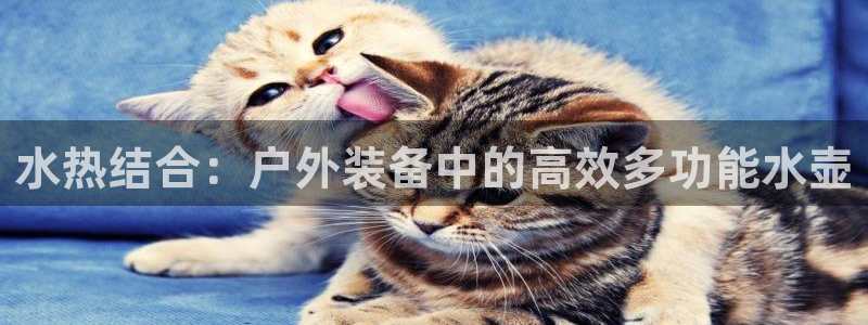 先锋娱乐会所地址