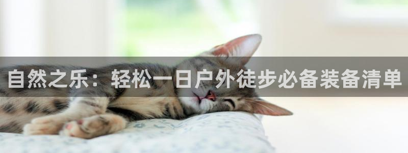 先锋电玩娱乐
