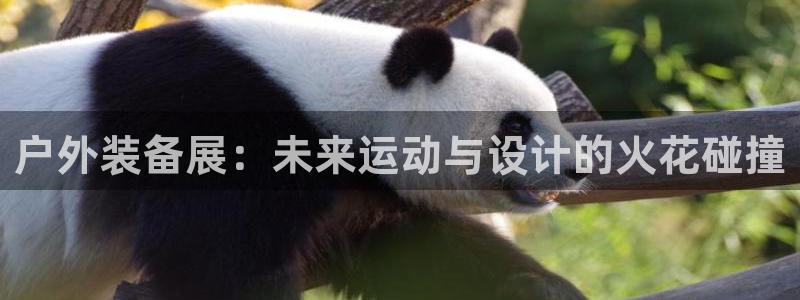 先锋队娱乐