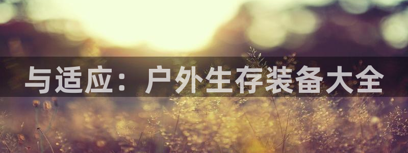 先锋娱乐属于违法吗