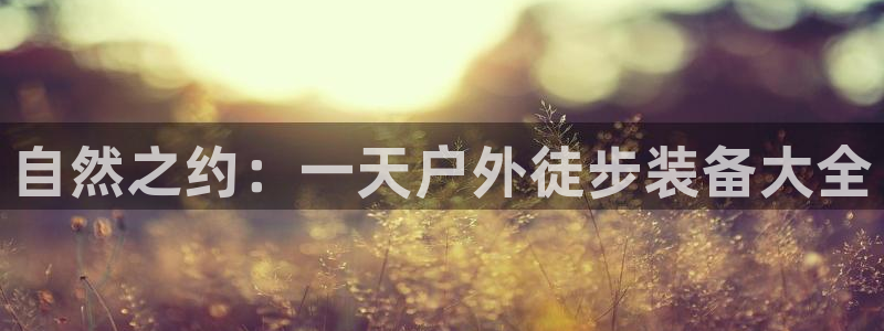 先锋娱乐电子游戏