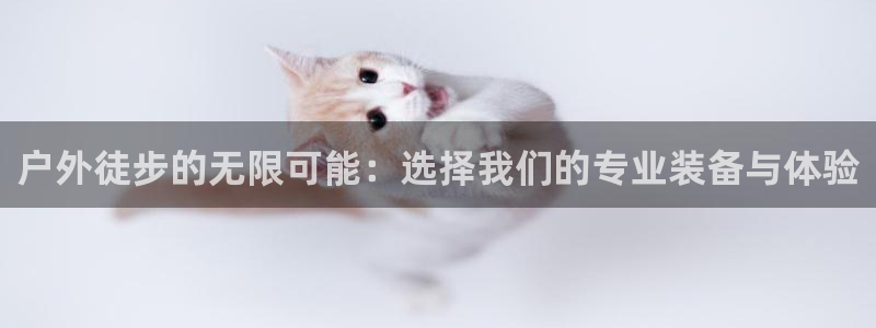 先锋娱乐情报
