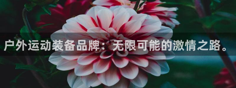 先锋电子旗下先锋娱乐