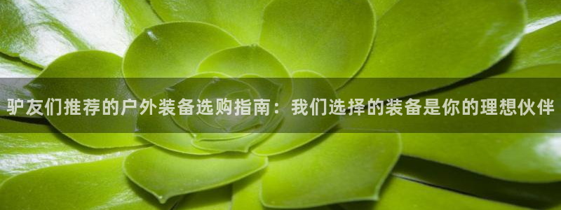 先锋娱乐游戏上分