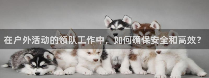网上炸金花先锋娱乐
