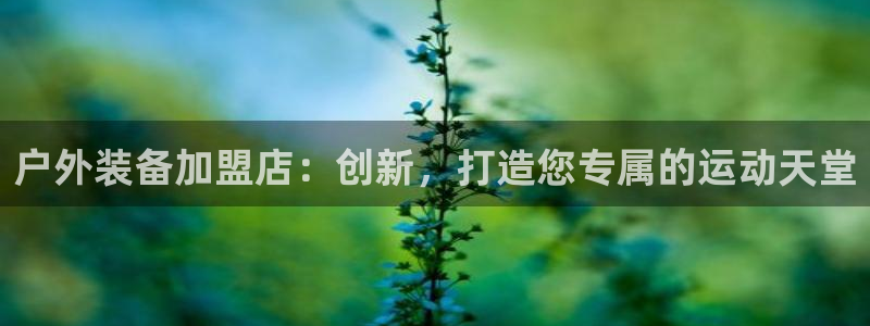 先锋娱乐手机