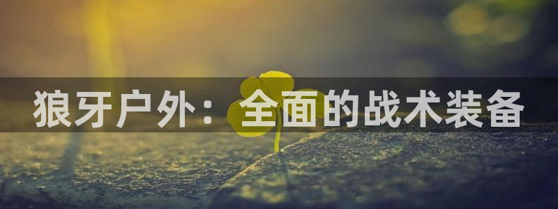 先锋娱乐大厅斗牛