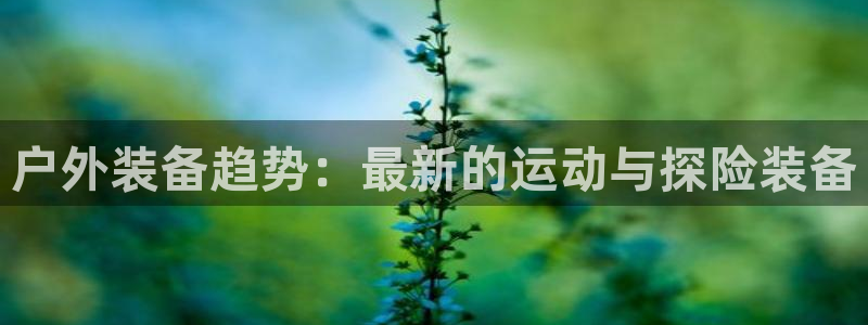 网上炸金花先锋娱乐