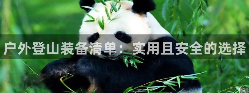 先锋娱乐大厅斗牛