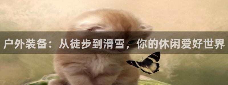 先锋娱乐游戏软件