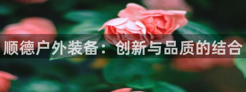 先锋娱乐账号注册不了