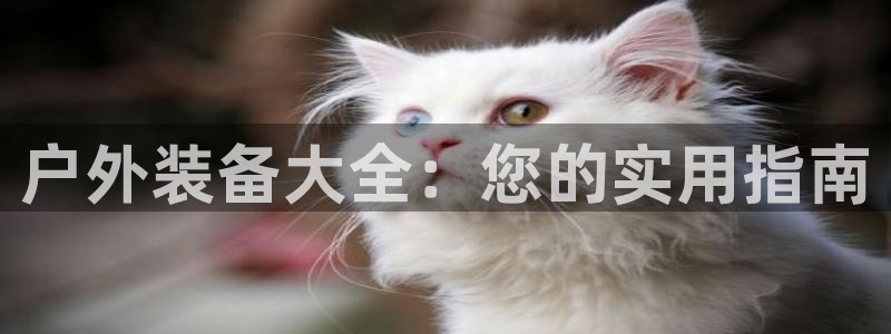 先锋娱乐属于违法吗