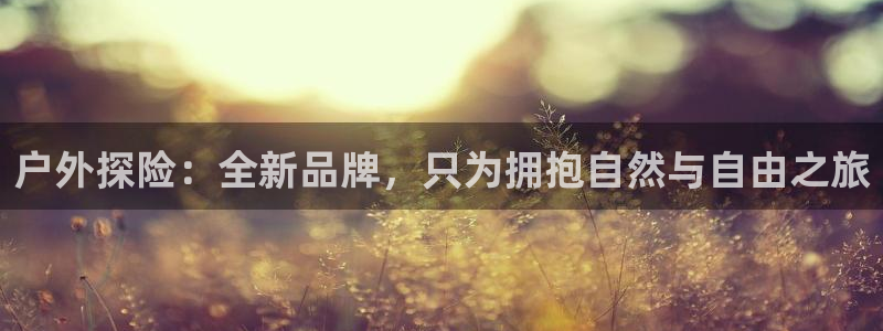 先锋电子车载娱乐系统