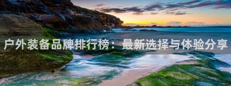 娱乐急先锋全集下载