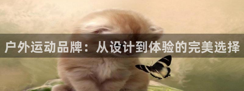 先锋娱乐垫付金额