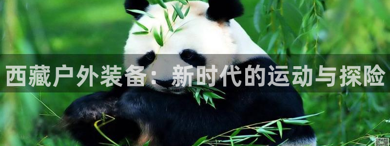 先锋娱乐理财logo