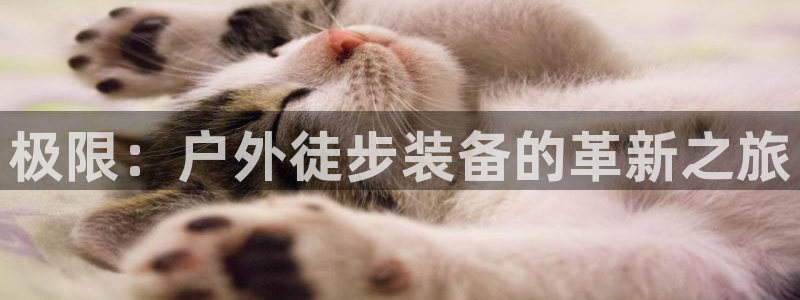 威斯汀娱乐先锋