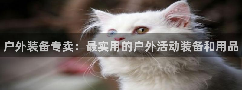 娱乐先锋捕鱼客服