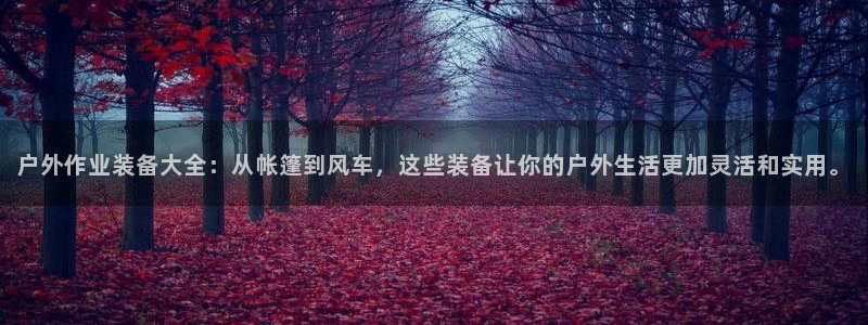 先锋娱乐在哪下载