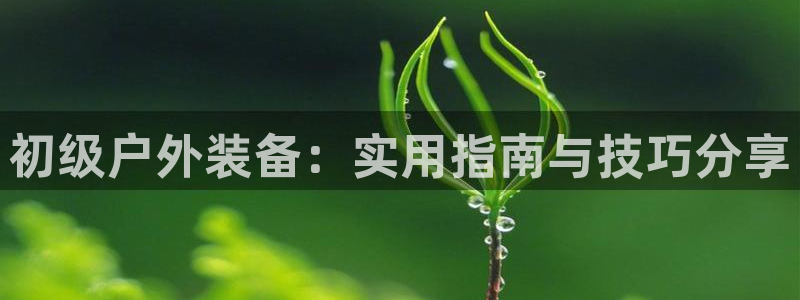 先锋娱乐游戏上分视频