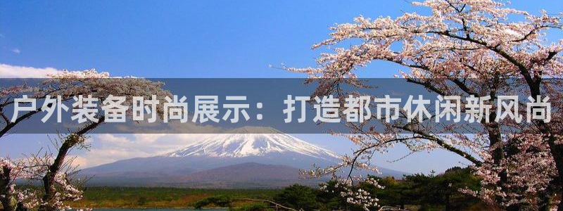 先锋电子车载娱乐系统