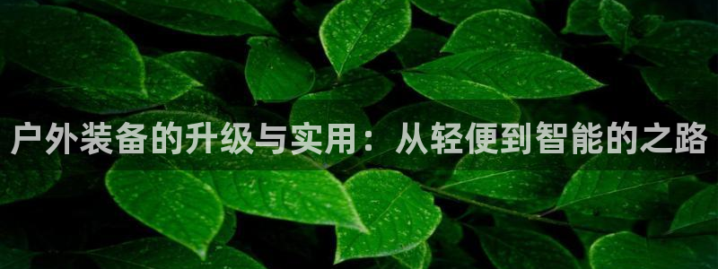 先锋娱乐集团公司