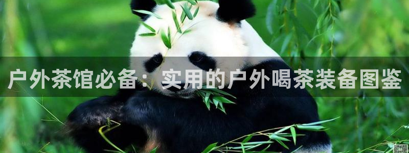 先锋娱乐邀请码多少