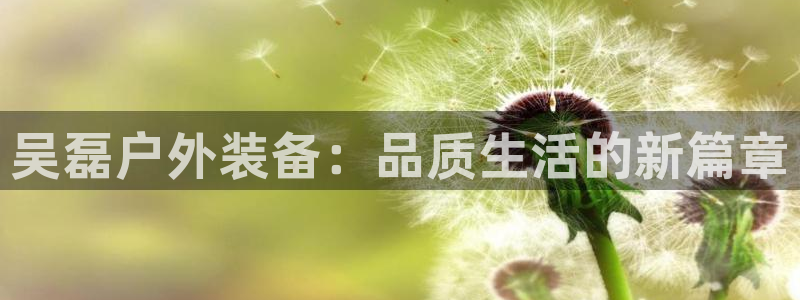 先锋综合娱乐