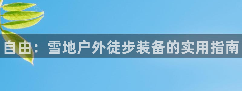先锋娱乐理财logo
