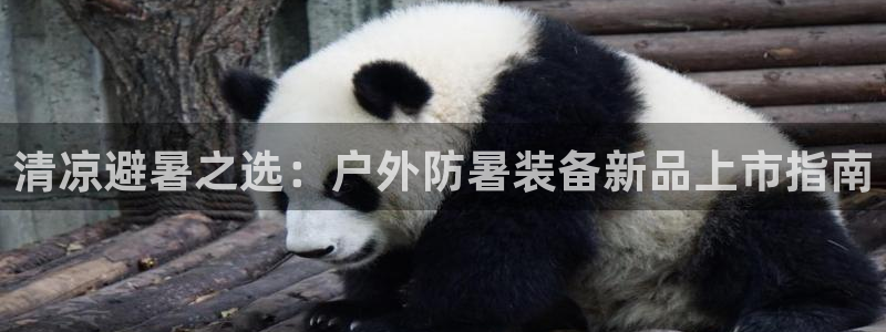 亚洲先锋娱乐行情