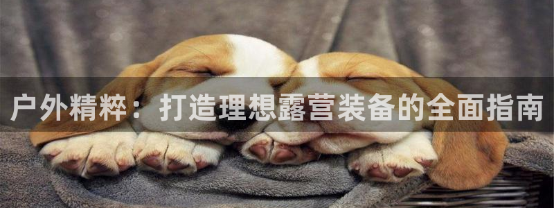 先锋娱乐大厅透视