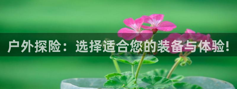 先锋娱乐简介图片