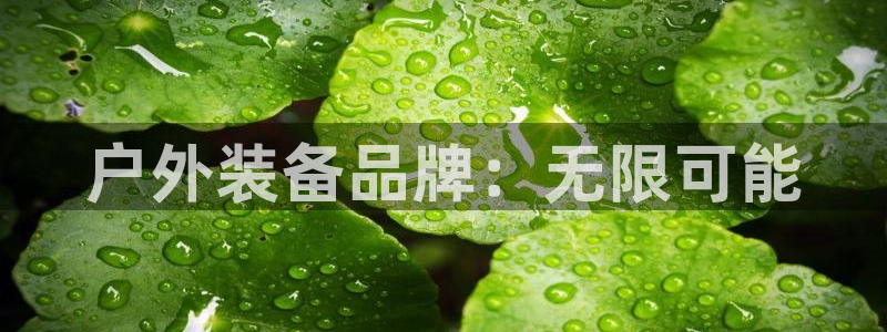 先锋综合娱乐