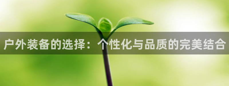 先锋娱乐股票