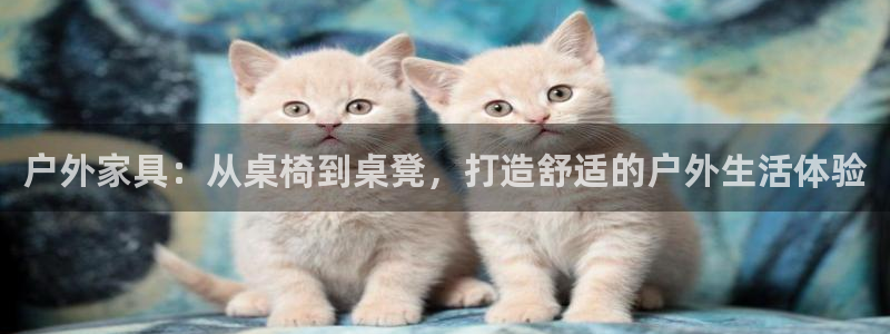 先锋娱乐简介图片