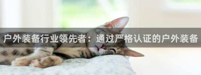 先锋娱乐在线