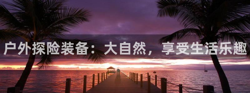 先锋电子车载娱乐系统