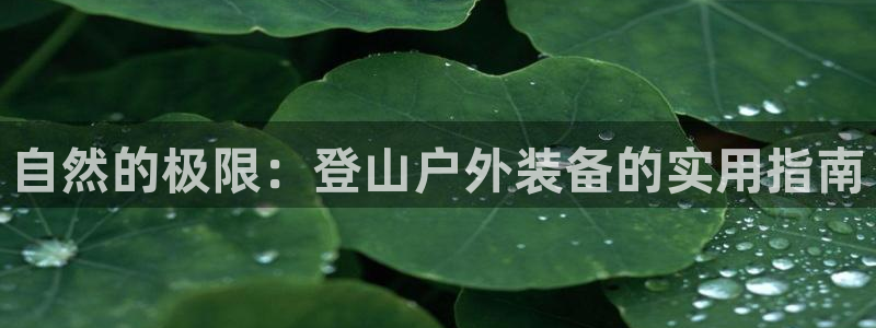 先锋娱乐手机