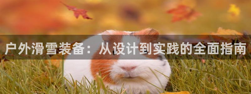 先锋互动娱乐