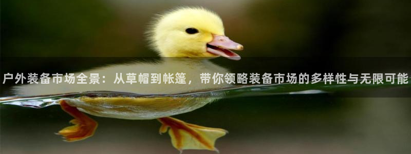 先锋娱乐股票