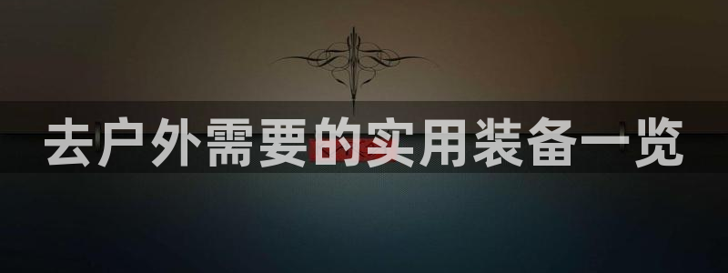 先锋电子车载娱乐系统