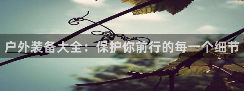 先锋娱乐电话